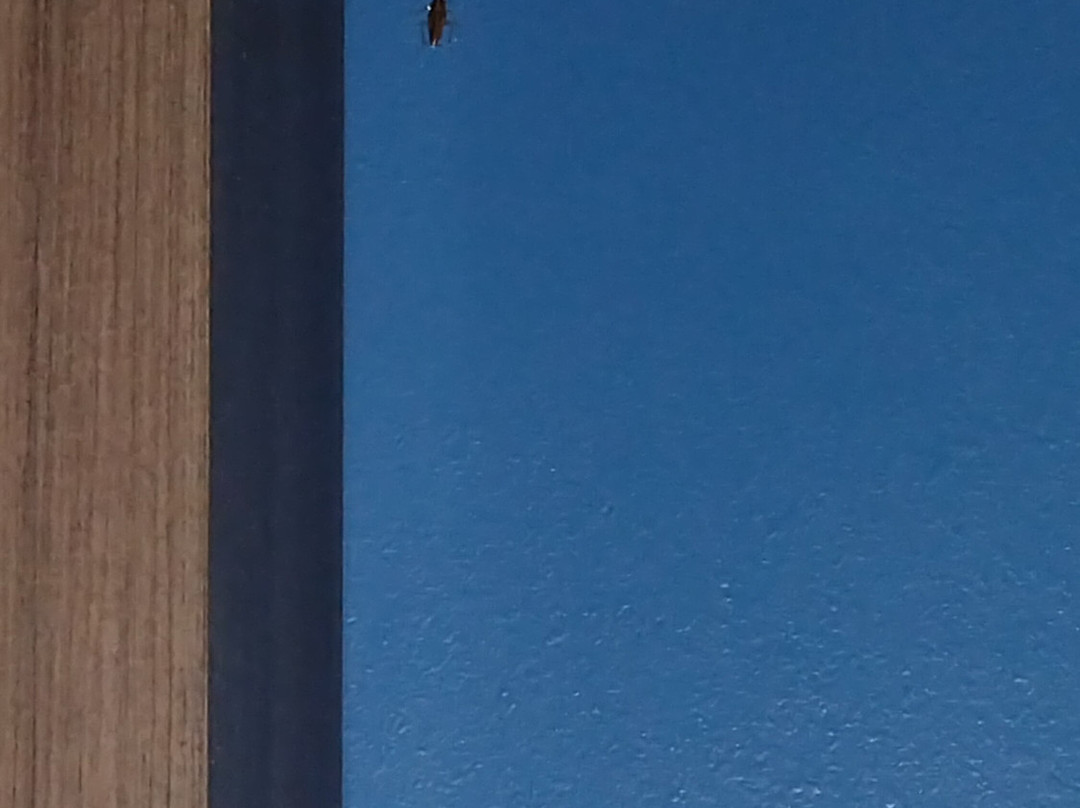 Holiday Inn Express & Suites Houston E - Pasadena by IHG主图