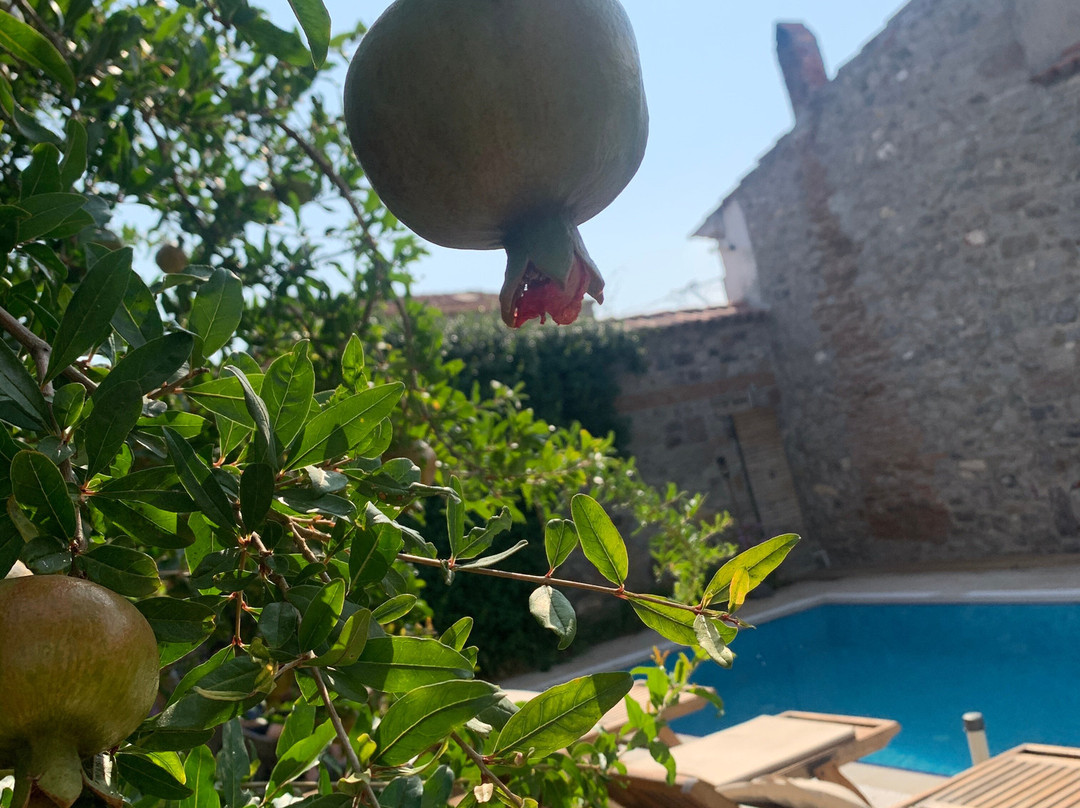 Kucukkoy Hotel主图