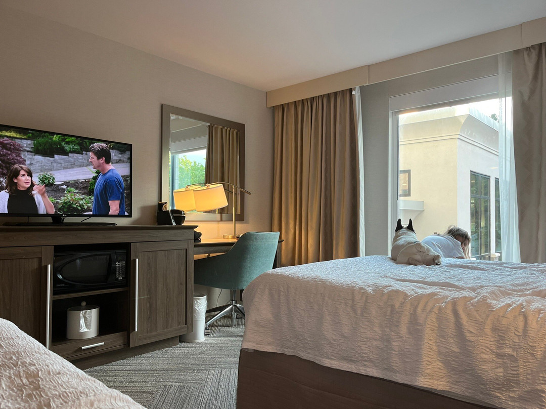 Chateau Fredericton, Trademark Collection by Wyndham主图