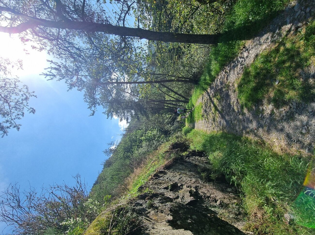 Hoscheid Klangwanderweg-Hoscheid必去景点