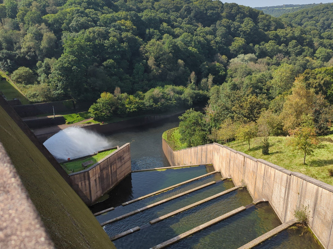 Wimbleball Lake Country Park景点图片