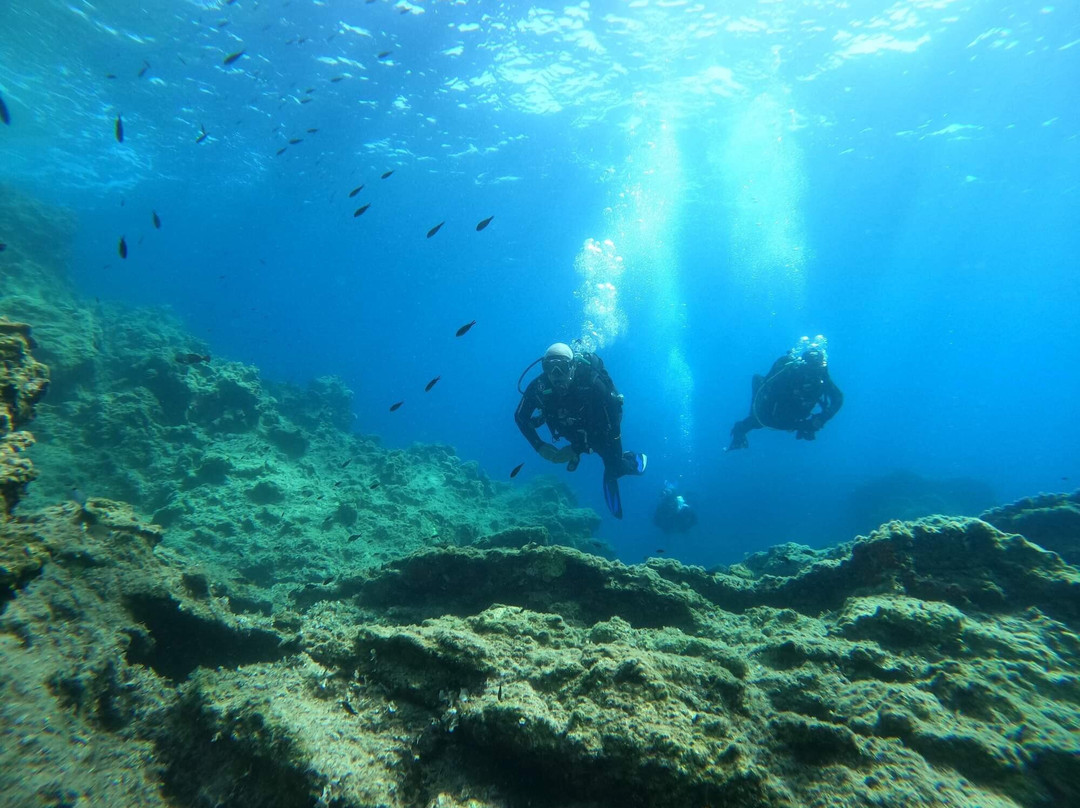 Deep Blue Divers-塞沃塔必去景点