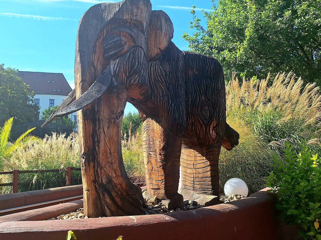 Zoo Hoyerswerda-Hoyerswerda必去景点