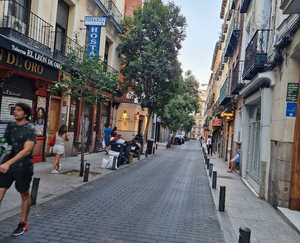 Barrio de Las Letras景点图片