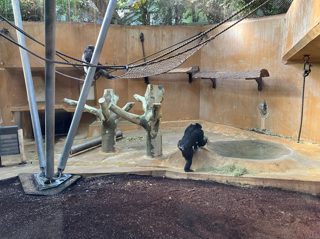 Erlebnis-Zoo Hannover-汉诺威必去景点