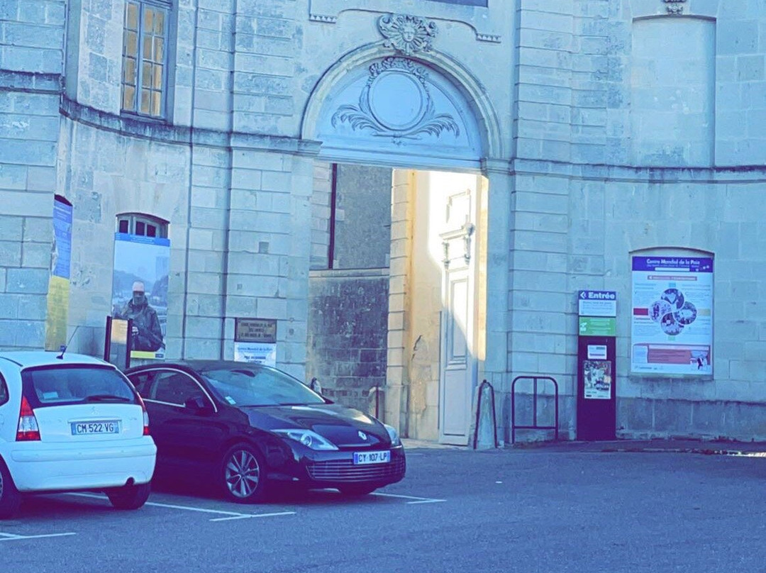Centre Mondial de la Paix-凡尔登必去景点