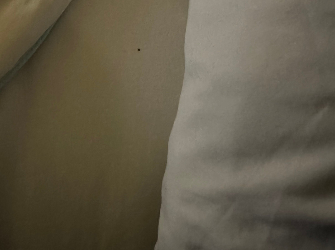 Fairfield Inn & Suites Columbus OSU主图