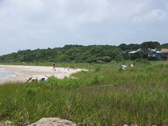 El Jardin Del Mar-盖维斯顿必去景点