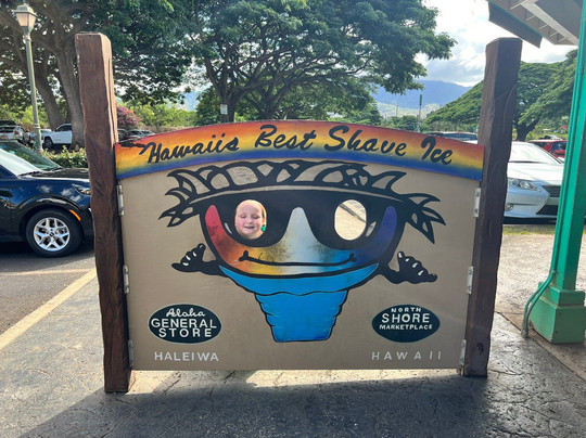 Danielshawaii Exclusive Oahu Island & Pearl Harbor Tours-火奴鲁鲁必去景点