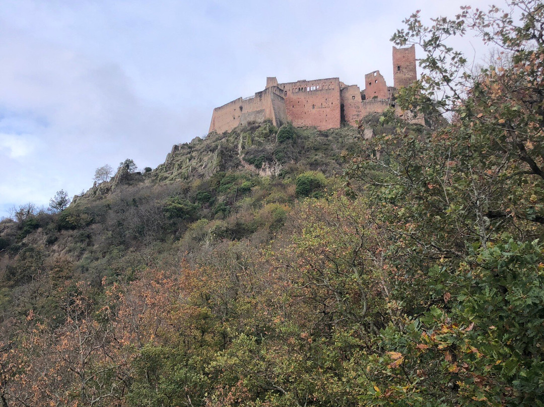 Randonnée des 3 châteaux de Ribeauvillé-里博维尔必去景点