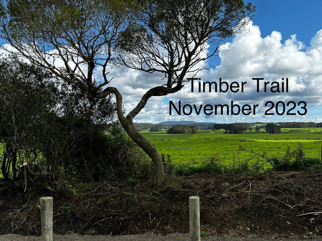 Timber Trail Shuttle & Bike Hire景点图片