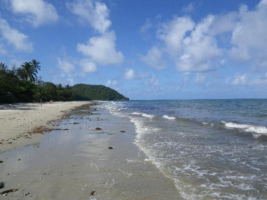 Heritage & Interpretive Tours-Daintree必去景点