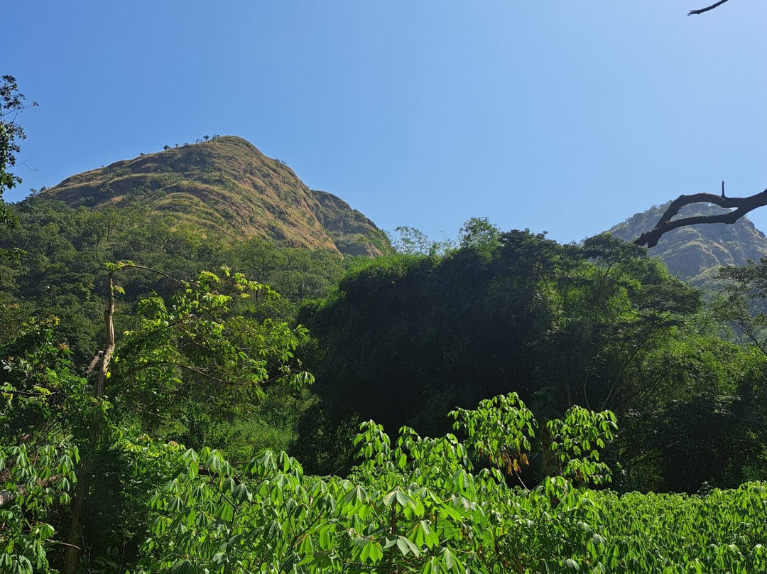 Waterfall Lodge at Wli主图
