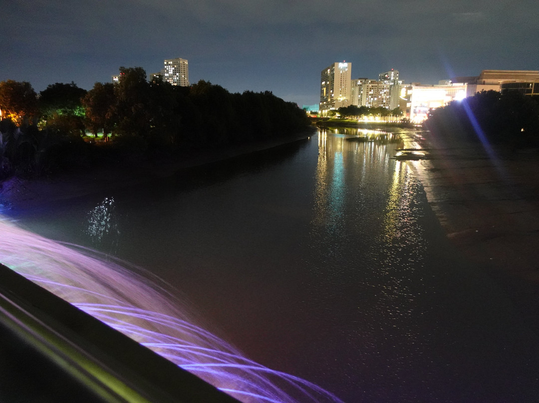 Starlight Bridge (Anh Sao Bridge)景点图片