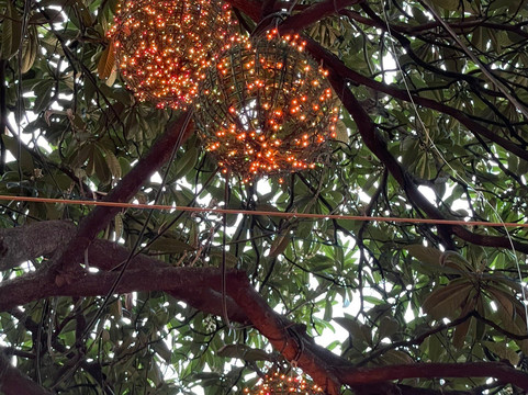 漫步者-上海市必去景点