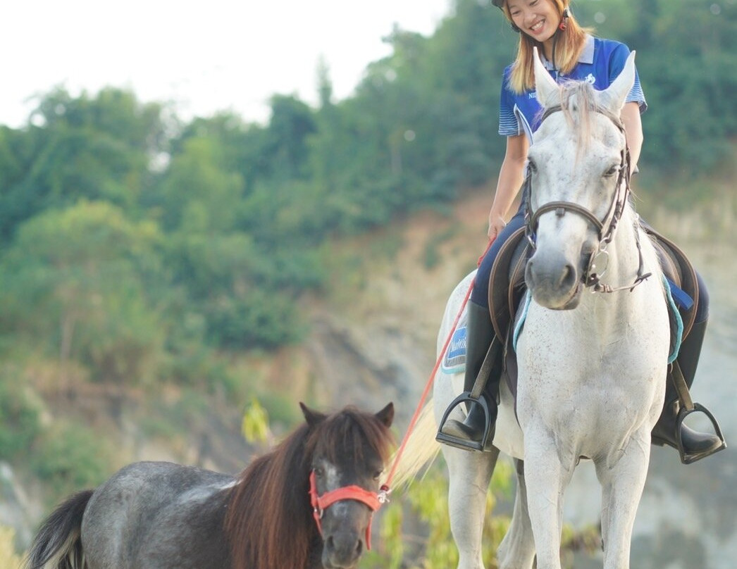 Pong Horse Park-Baan Pong必去景点