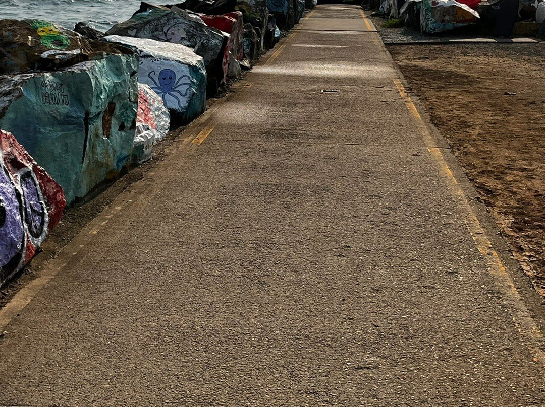 Breakwall Waking Path-麦克夸利港必去景点