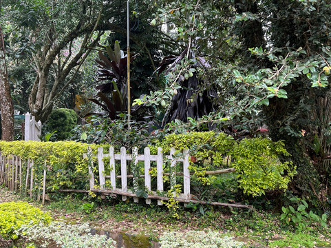 DNC Shevaroys Resorts & Spa主图