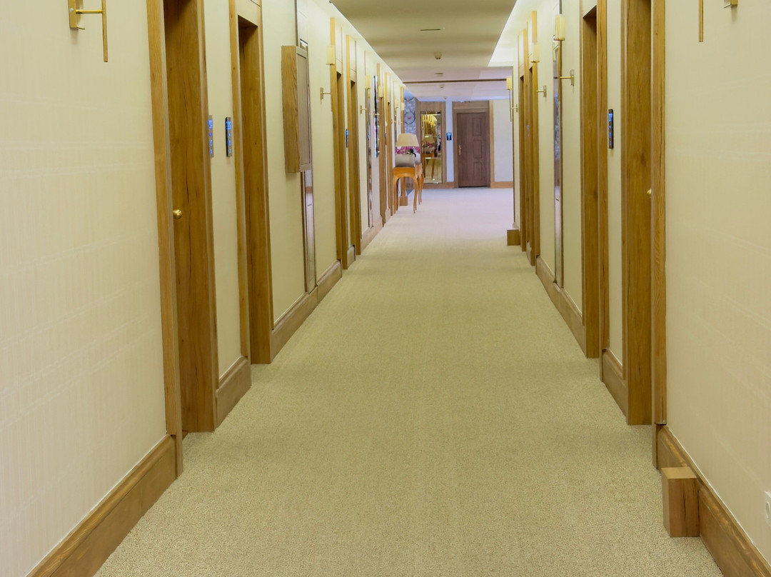 Pardisan Hotel主图