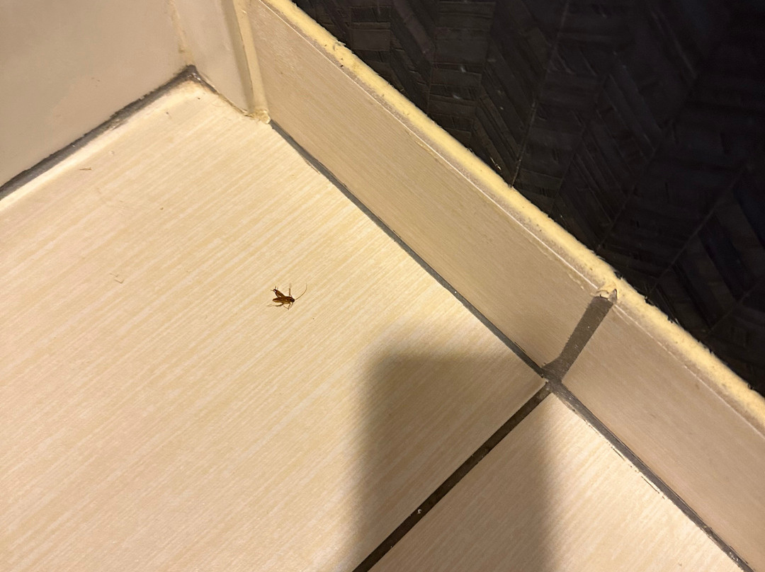 Fairfield by Marriott Inn & Suites Jackson Airport主图