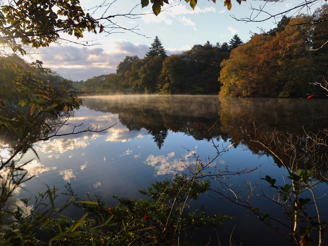 Kitayama Park-笠间市必去景点