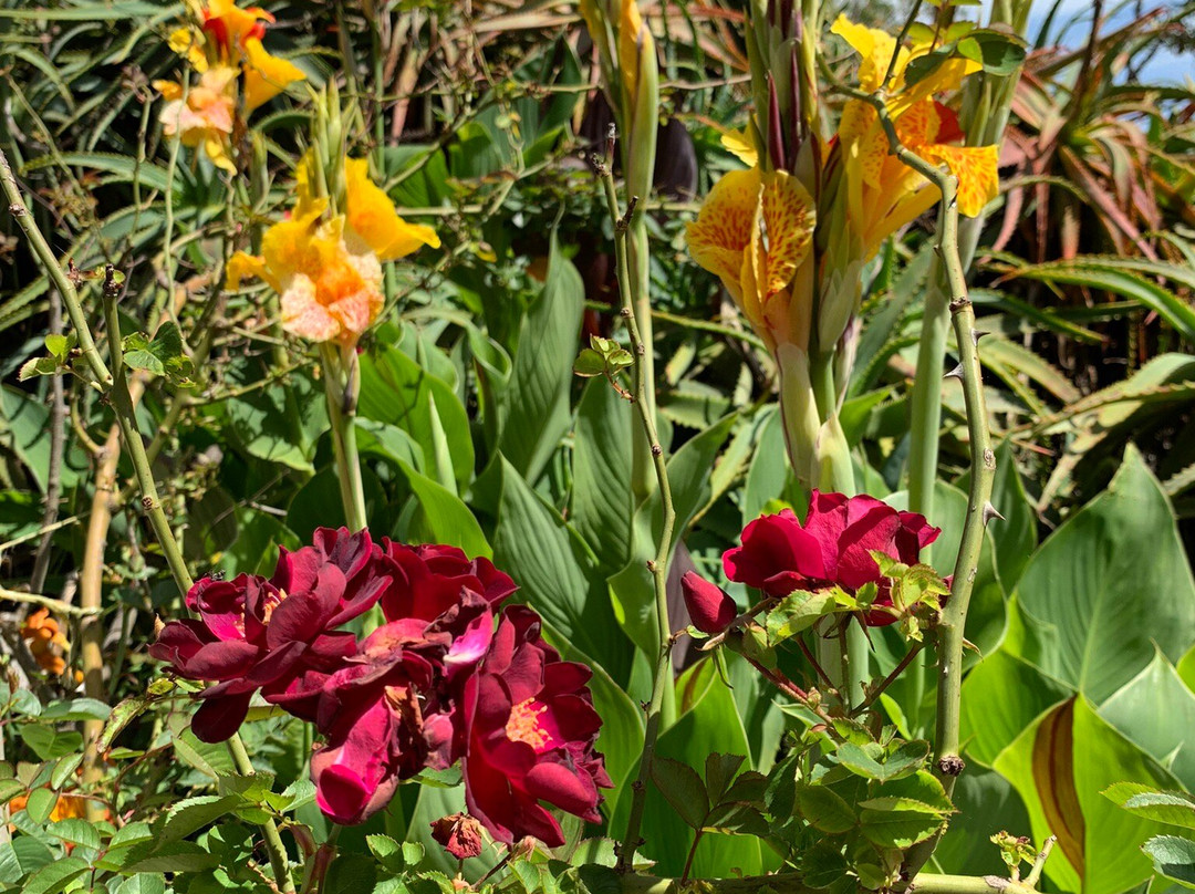 Barrabool Maze Estate-Barrabool必去景点