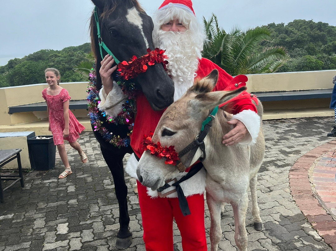 The Haven Hotel主图