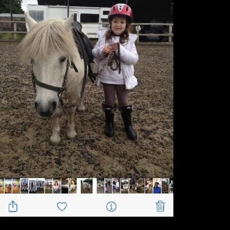 Carrington Riding Centre景点图片