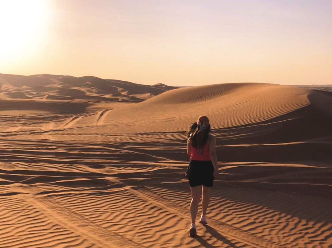 Desert Safari Dubai-迪拜必去景点