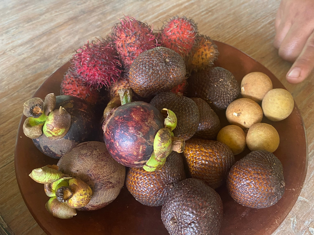 Traveling Spoon-乌布必去景点