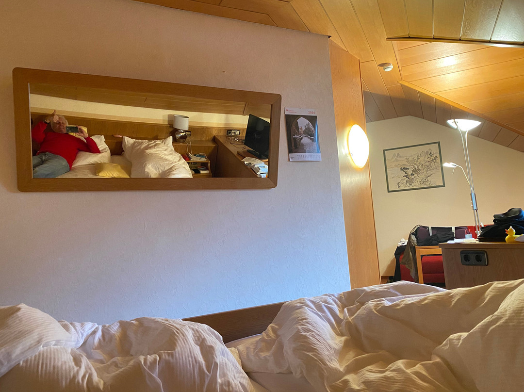 Europäischer Hof主图