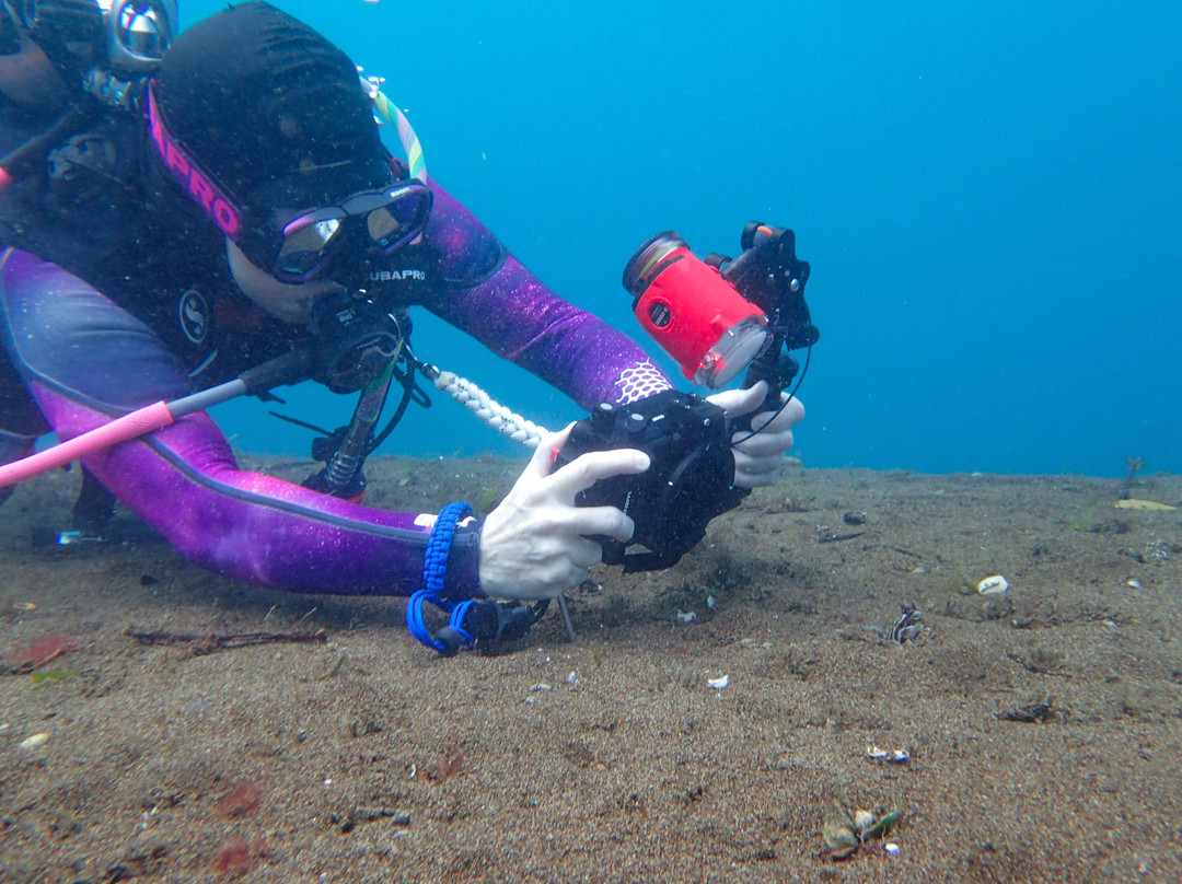 萨拉亚海滩旅馆主图