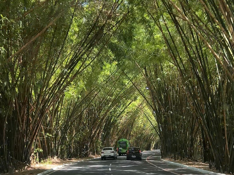 Salvador Traslado-萨尔瓦多必去景点