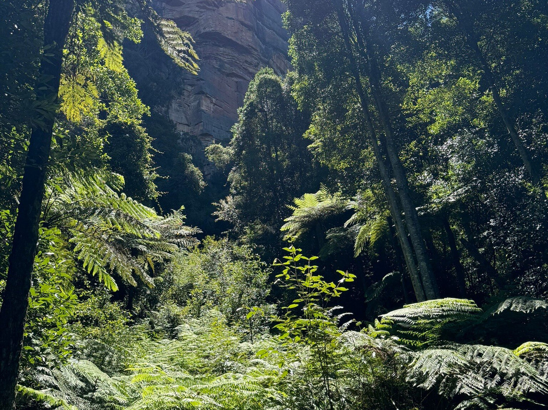 奥兹环山游-悉尼必去景点