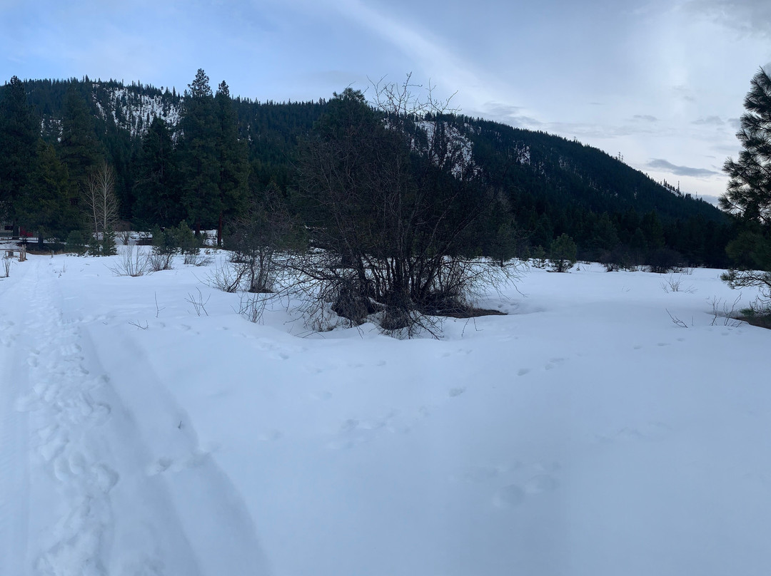 Pine River Ranch主图