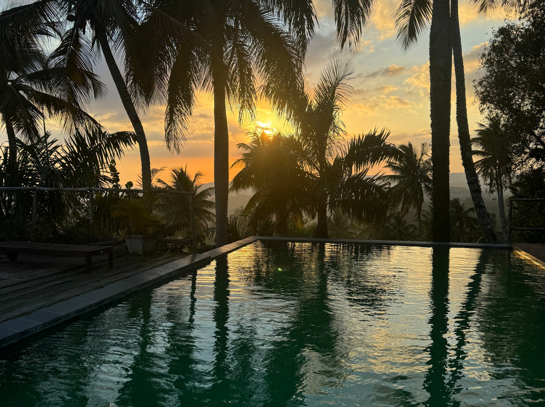 Hacienda Cocuyo主图