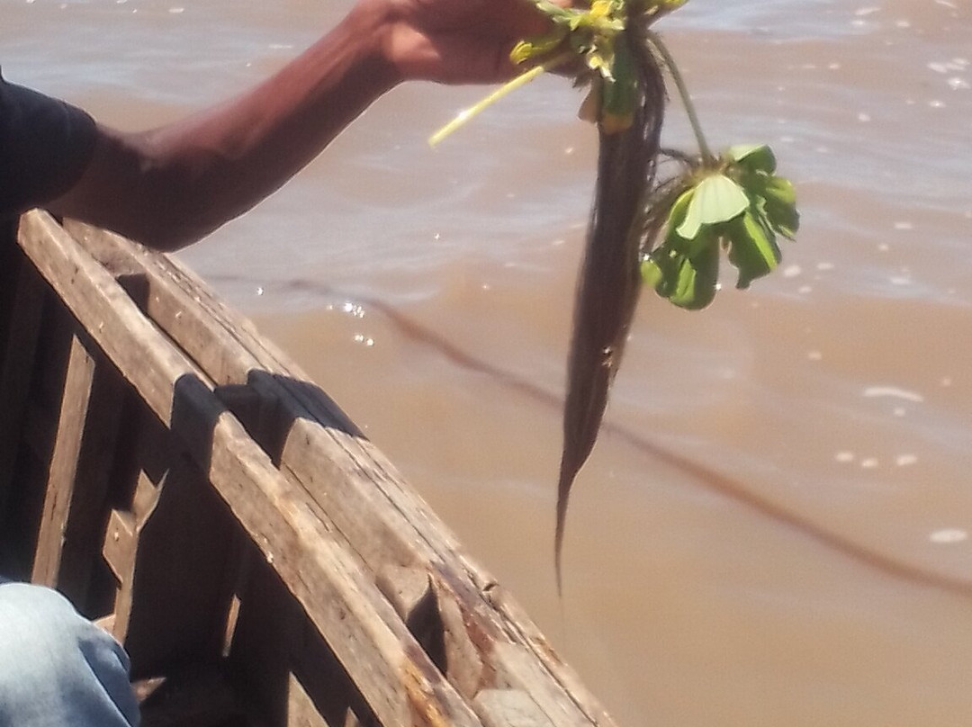 Lake Chilwa-Kachulu必去景点