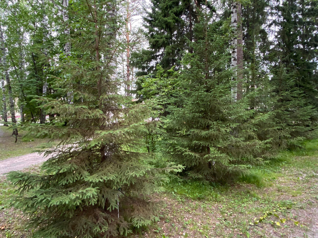 Byvshikh Maloletnikh Uznikov Fashistskikh Kontslagerey Alley-Akademgorodok必去景点