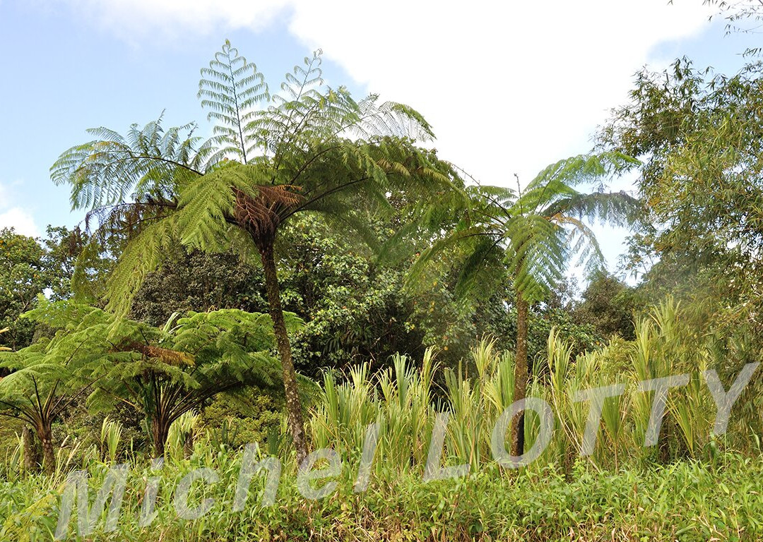 Pitons du Carbet-Arrondissement of Saint-Pierre必去景点