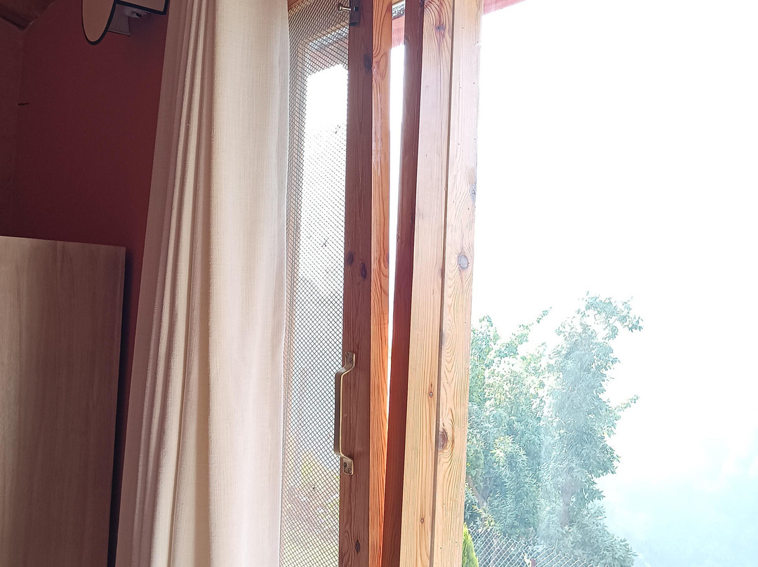 Seclude Pangot, Perch主图