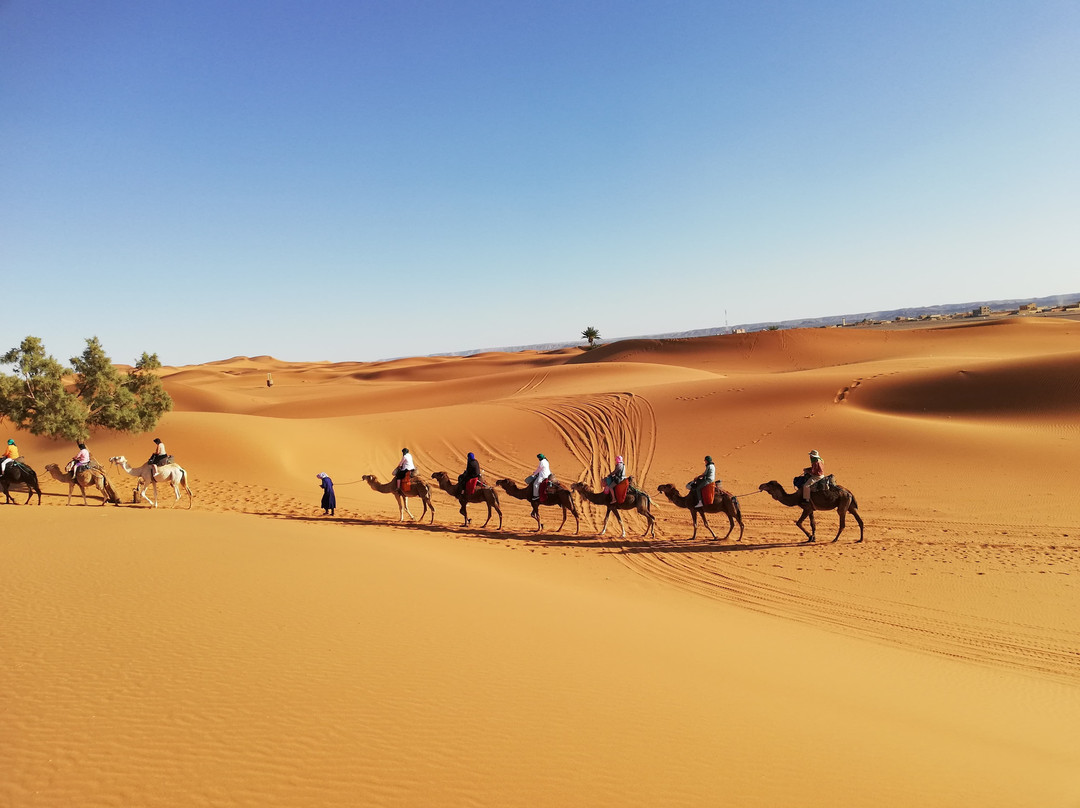 Atlas Dream-马拉喀什必去景点