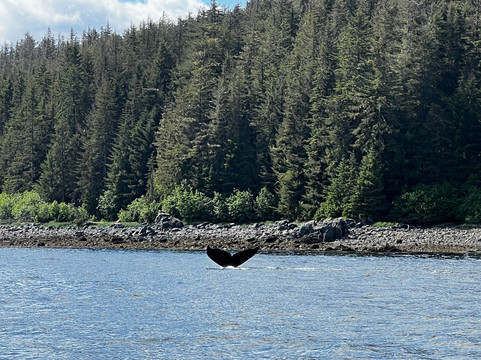 Alaska Shore Excursions-朱诺必去景点