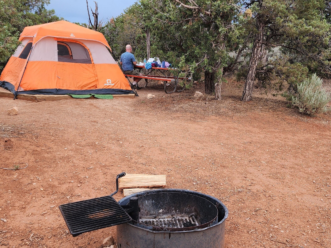 Natural Bridges National Monument-布兰丁必去景点