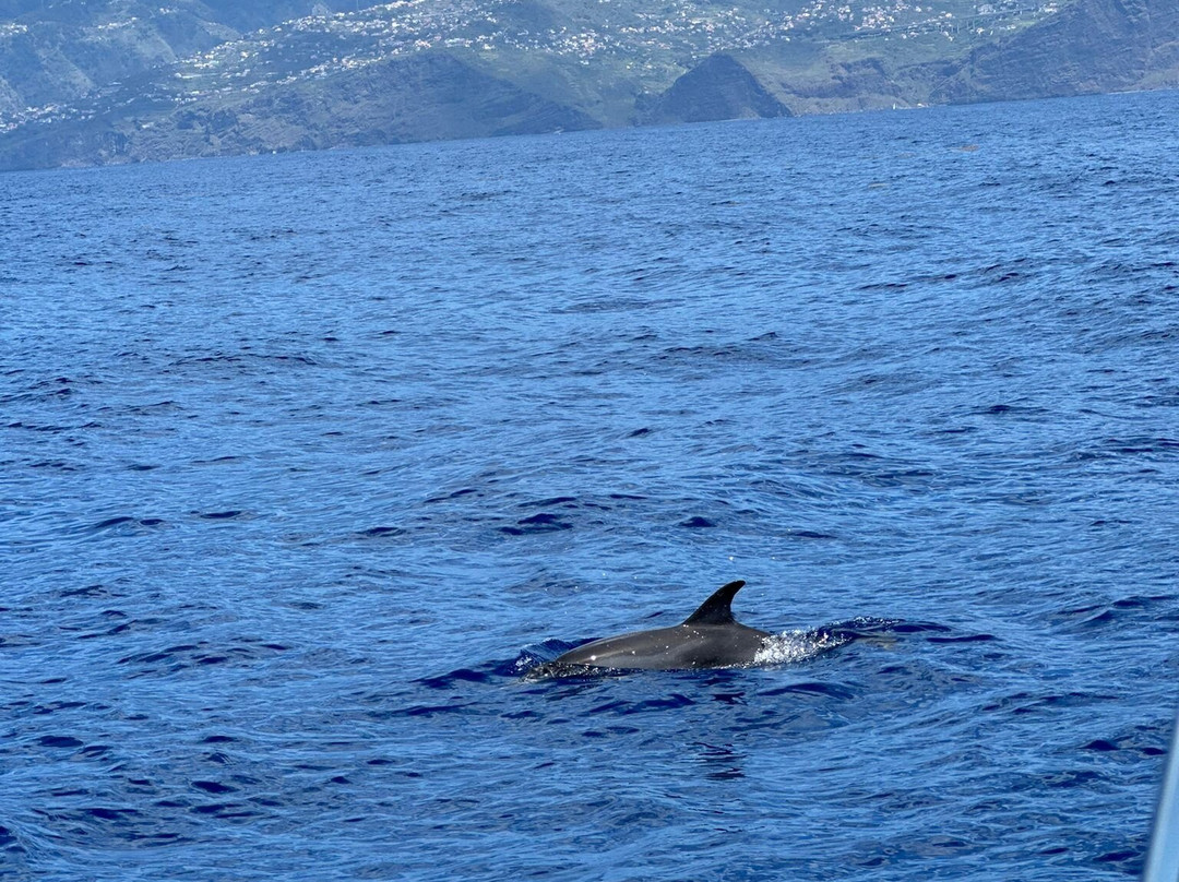 XpointMadeira - Eco tours-沙尔必去景点