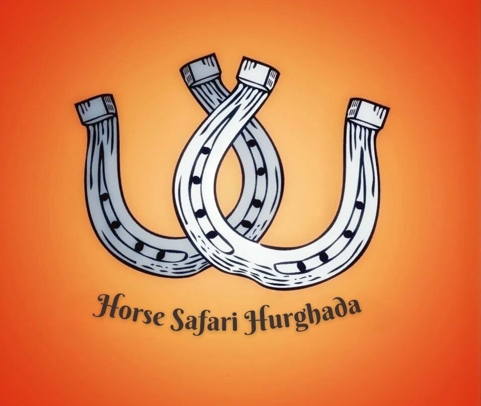 Horse Safari Hurghada-赫尔格达必去景点