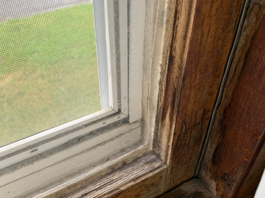 Knotty Pine Motel主图