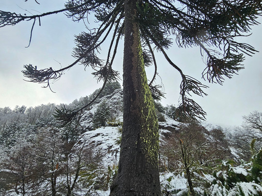 GoPucon Turismo Aventura-普孔必去景点