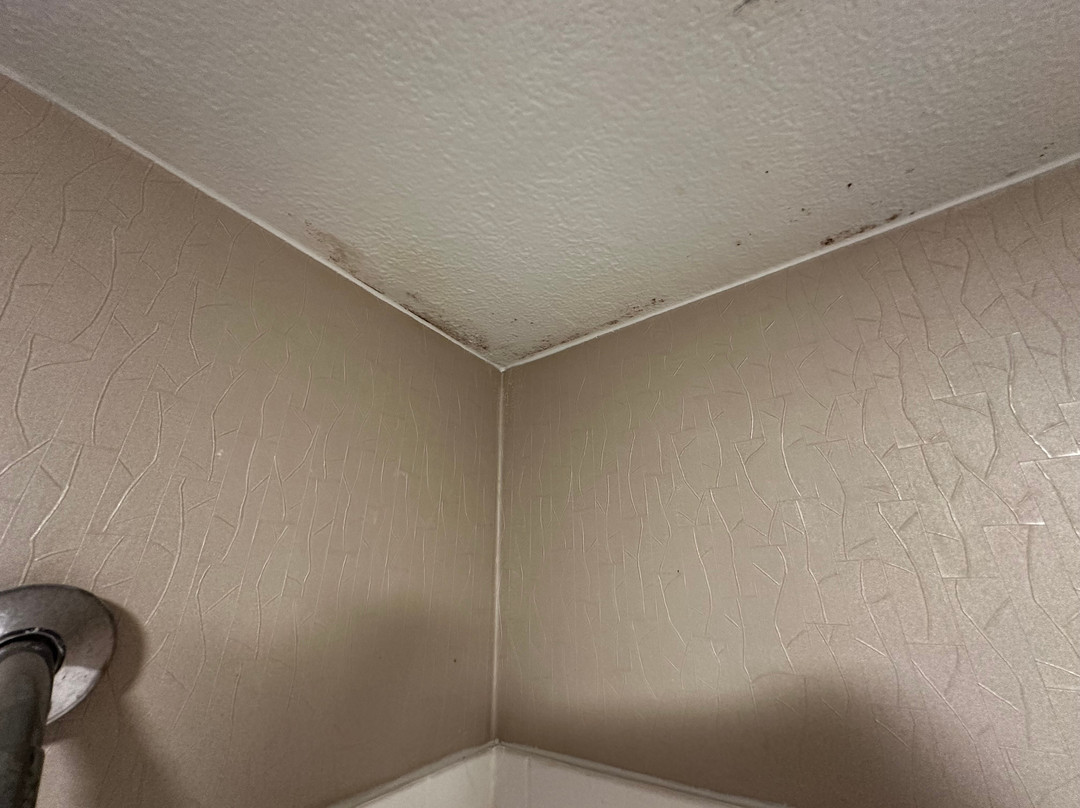 SpringHill Suites by Marriott Dallas Addison/Quorum Drive主图