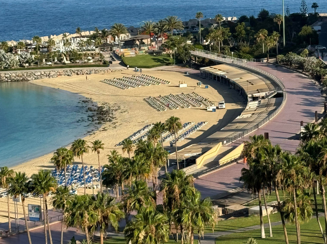 Aparthotel Mirador del Atlántico主图