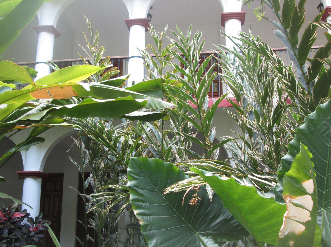 Hotel La Ceiba主图